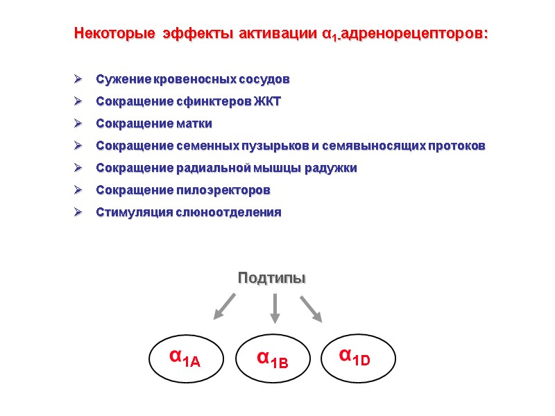 Подтипы  α1A  α1В  α1D  Некоторые эффекты активации α1-адренорецепторов:  Сужение